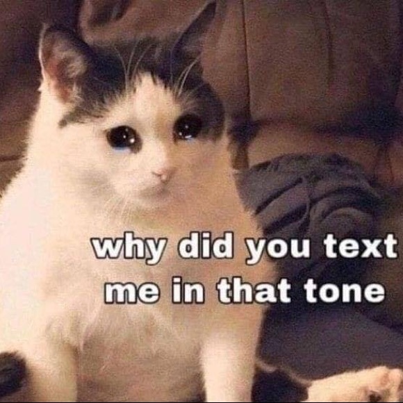 Meet your Posher, Elizabeth - Picture 2 of 3